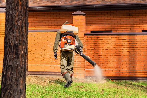 Trusted Rodent Control service in Clarinda, IA - Nex Pest Control